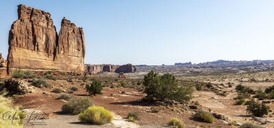 The Organ Arches NP June 2025